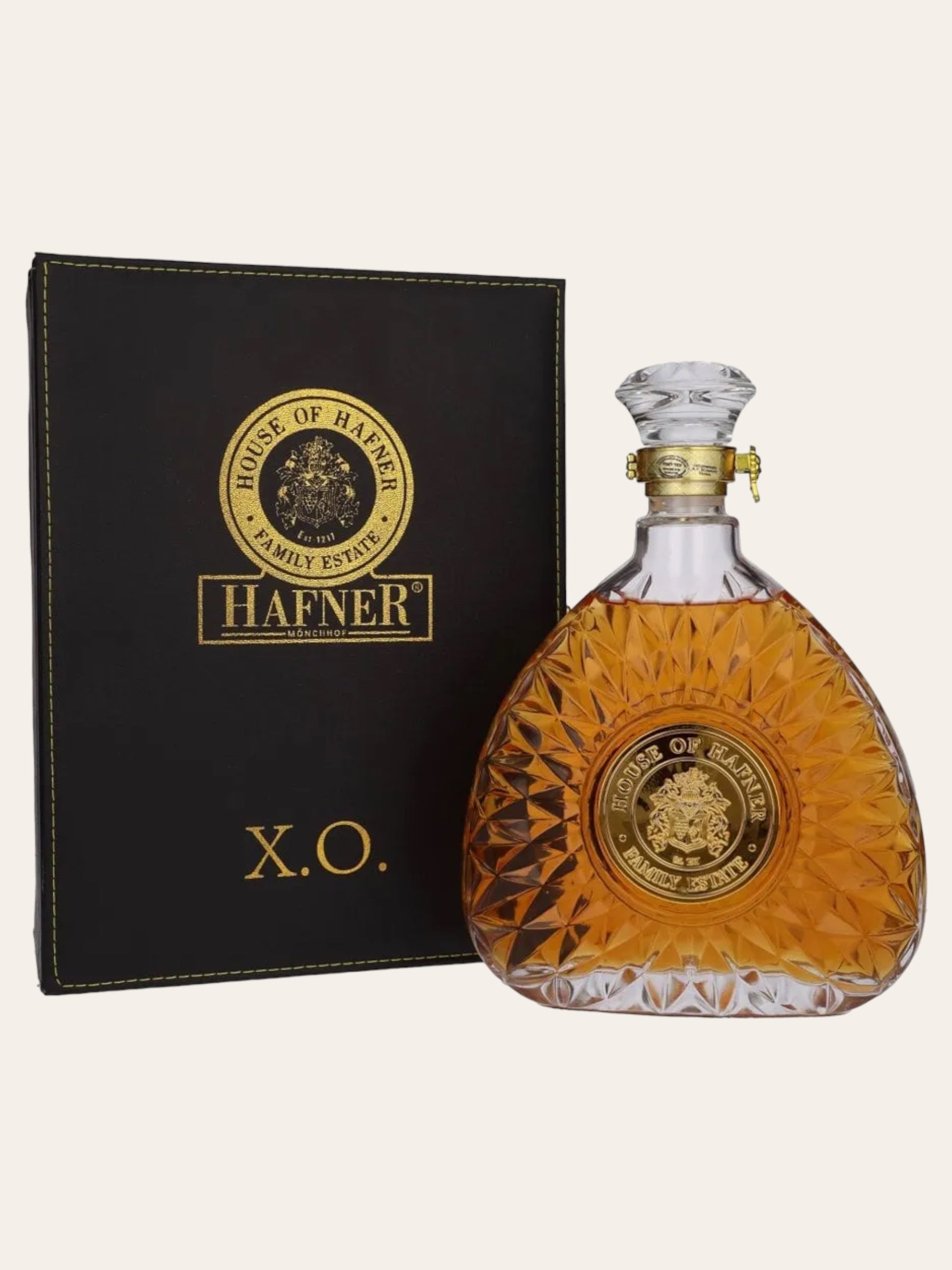 Brandy Hafner XO 15yo